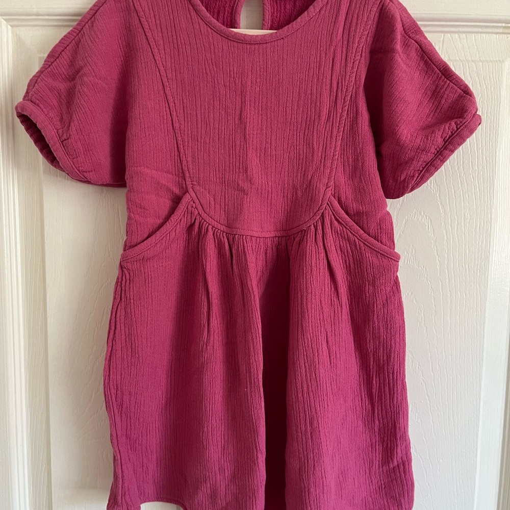 Zara Fuchsia Textured Dress